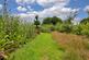 Additional image 13 of Sheepstor, Yelverton, Devon, PL20