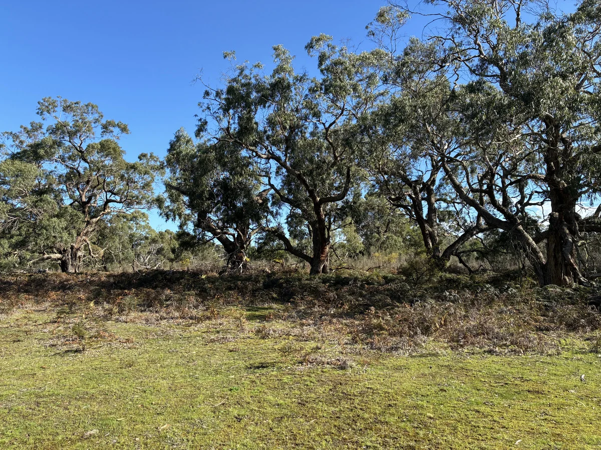 Additional image 12 of 716 Victoria Valley Road, Victoria Valley VIC 3294
