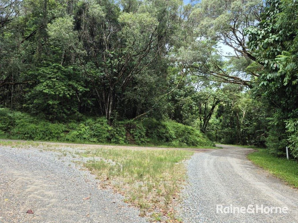 Additional image 16 of Lot 18 George Road, Forest Creek QLD 4873