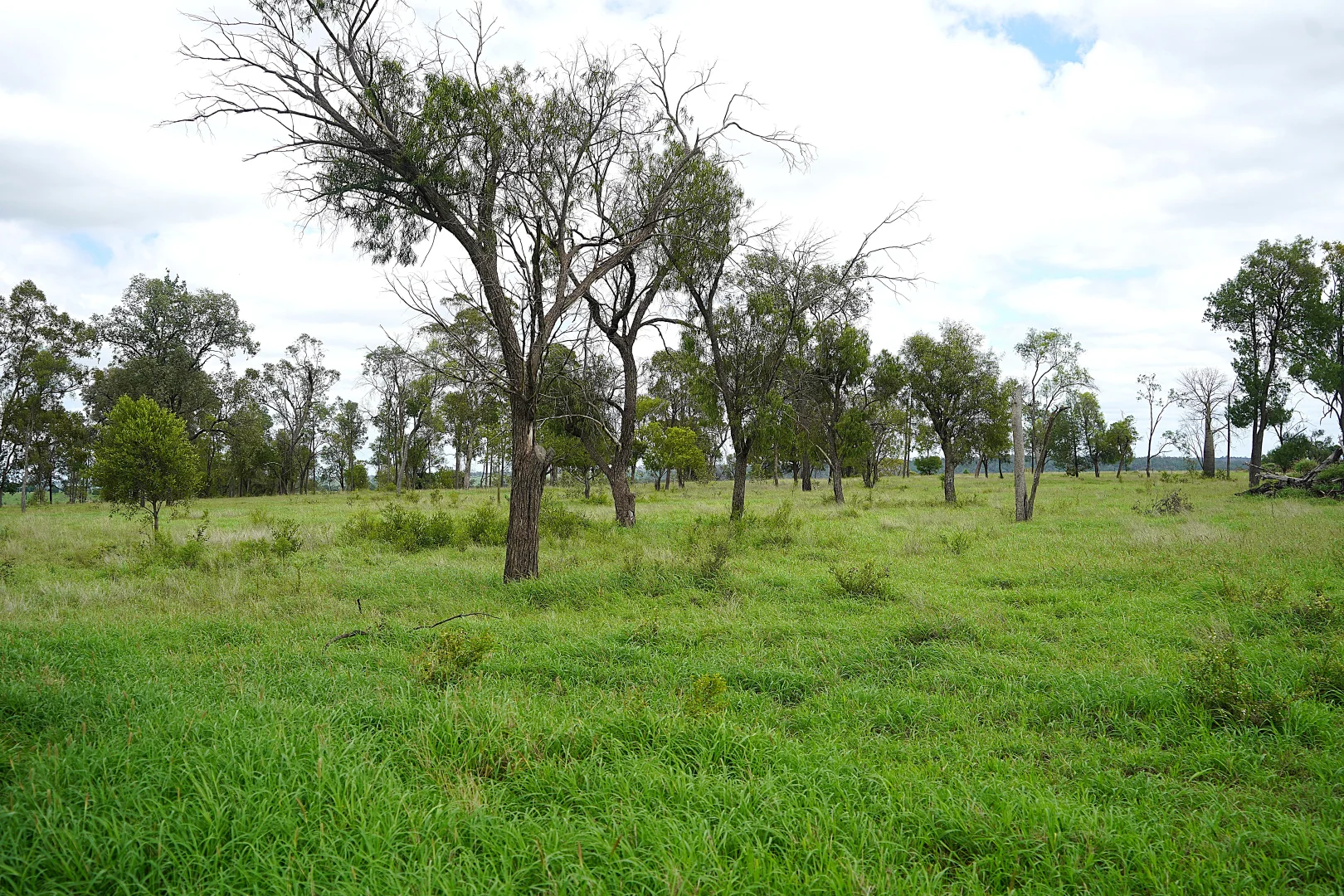 Additional image 13 of Billabong, Orallo Road, Roma QLD 4455