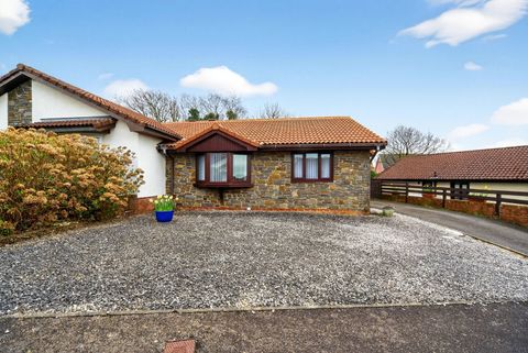 Ffordd Llyffant, Birchgrove SA7