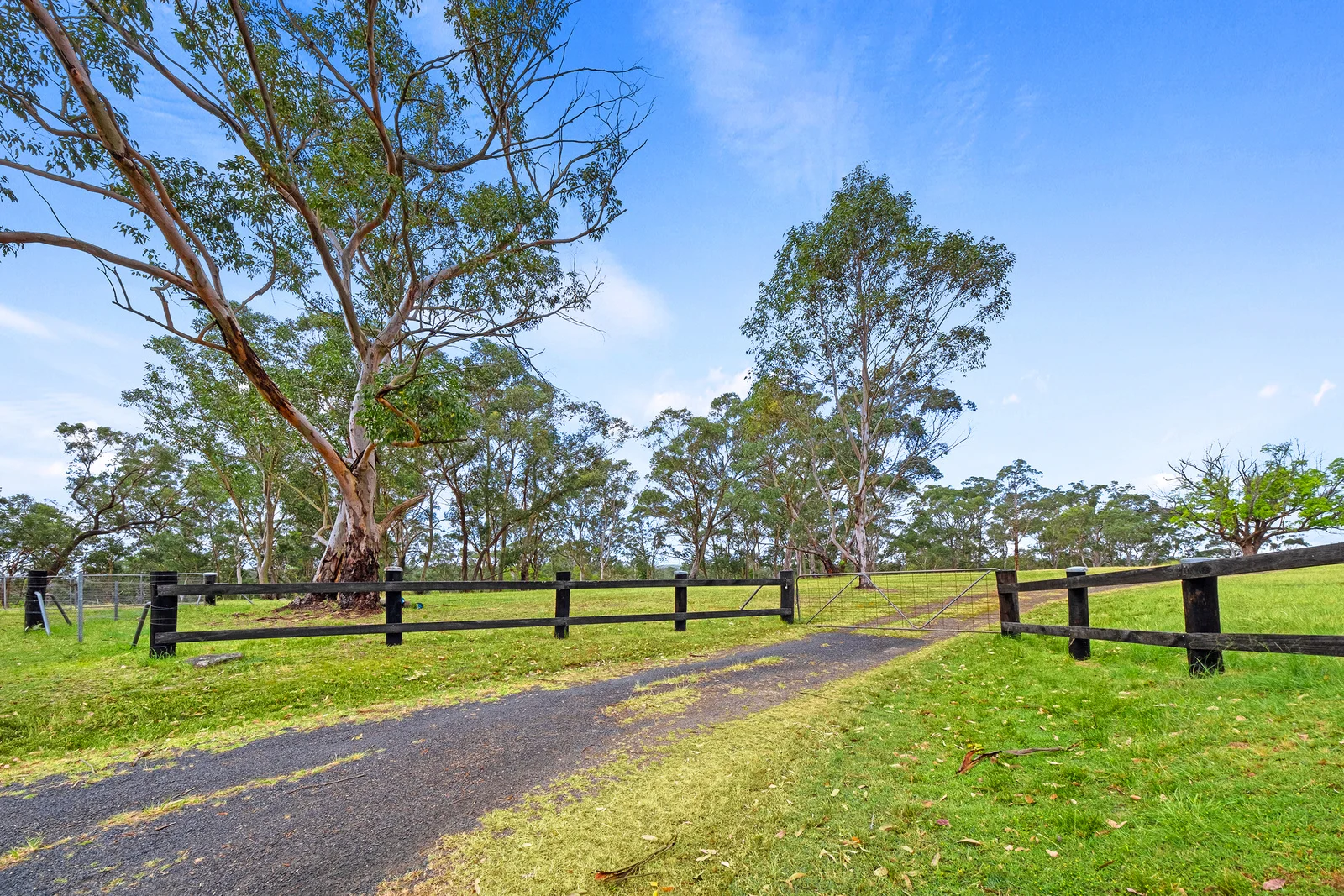 Additional image 2 of 339 Maguires Road, Maraylya NSW 2765