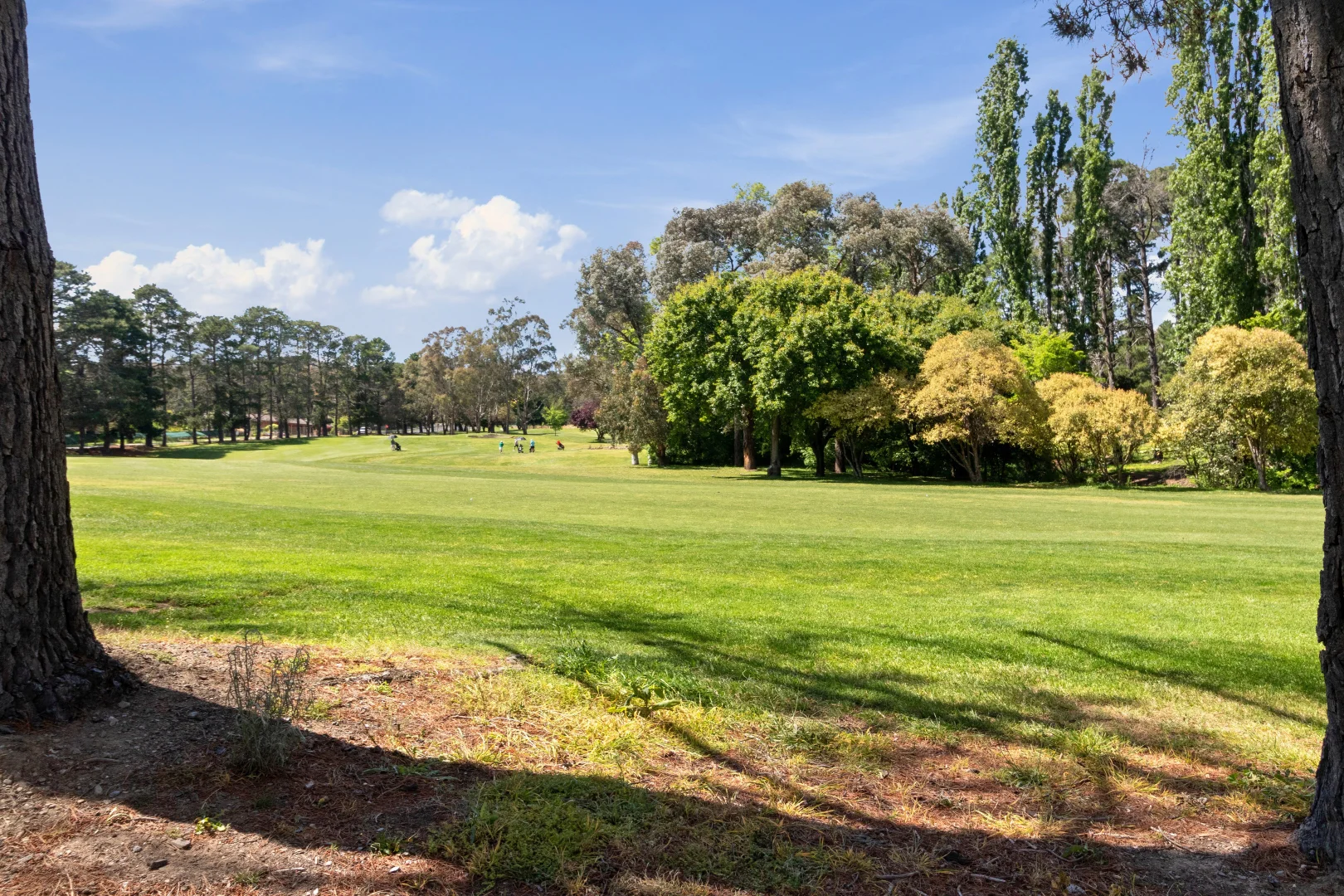 Additional image 17 of 7/52-54 Trinculo Place, Queanbeyan East NSW 2620