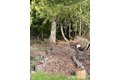 Additional image 35 of 2270 S 7th Ave, Sequim, WA, 98382