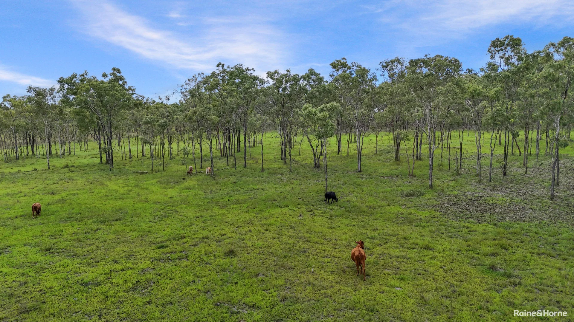 Additional image 4 of Lot 4/69 Grant Road, Millstream QLD 4888