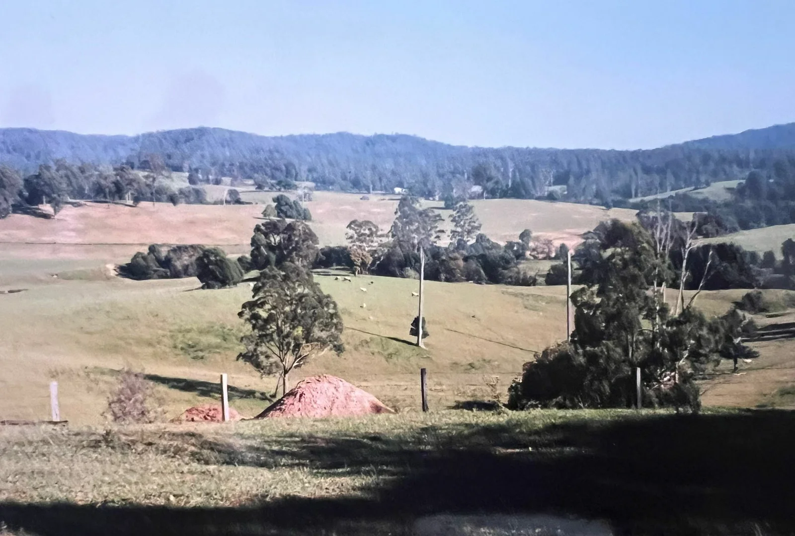 Additional image 22 of 45 Moores Lane, Eungai Creek NSW 2441