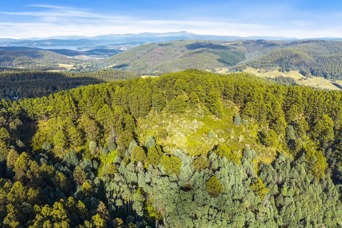 Additional image 5 of 3 Nicholls Rivulet Road, Nicholls Rivulet TAS 7112