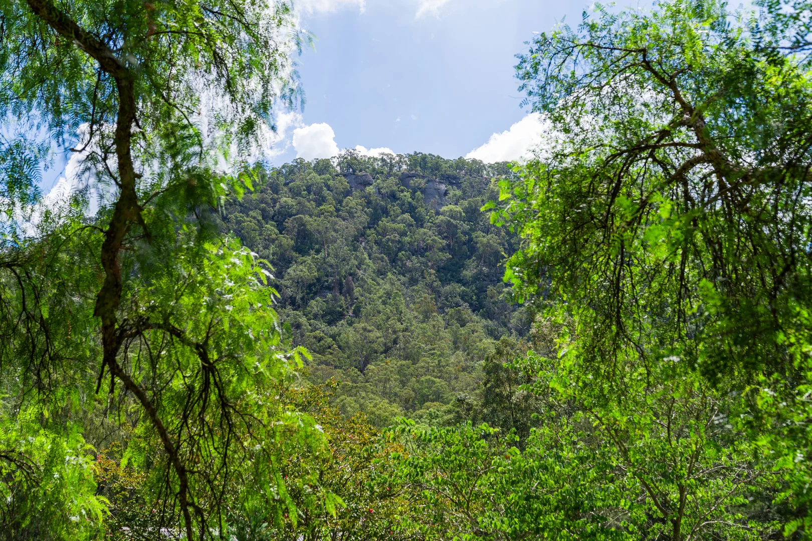 Additional image 78 of 3134 Putty Road, Milbrodale NSW 2330