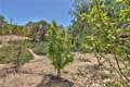 Additional image 39 of 48208 Tanglewood Ct, Aguanga, CA, 92536