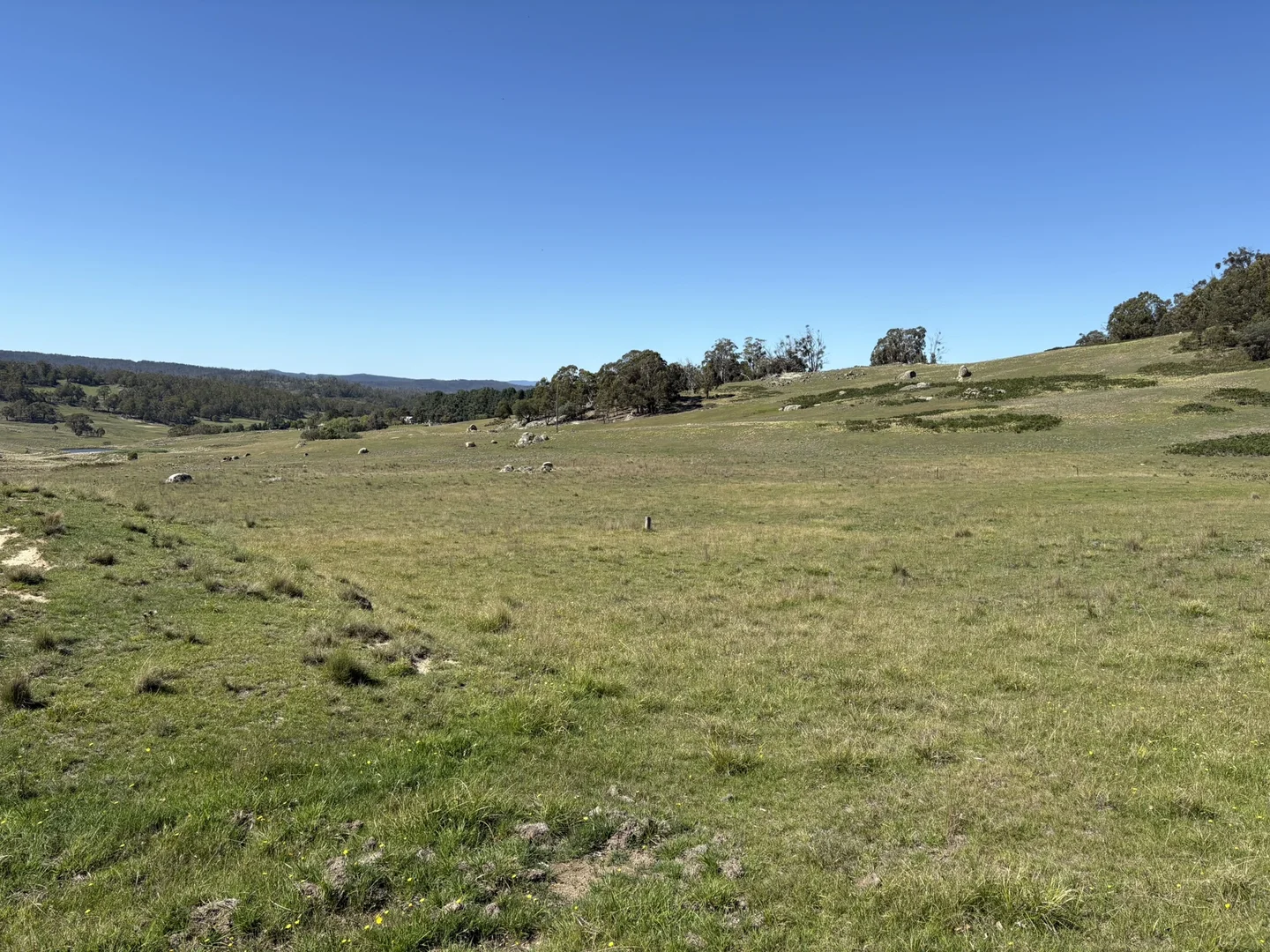 Additional image 12 of Lot 125/125, 175 Tumbledown Road, Peak View NSW 2630