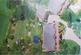 Additional image 32 of Glenleigh Walk, Robertsbridge, TN32