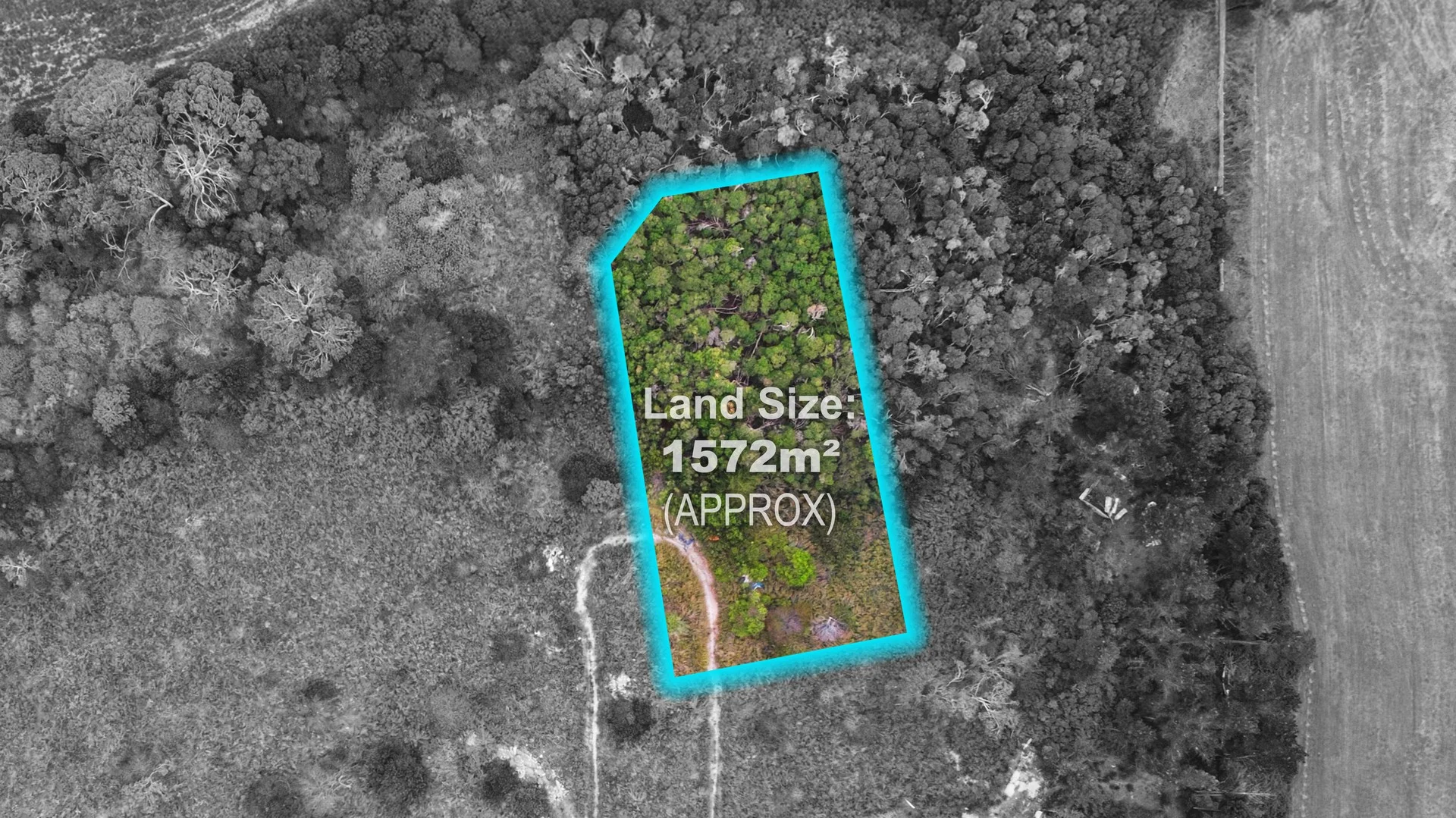 5 Crib Point Road, Crib Point VIC 3919