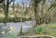 Additional image 18 of Horrabridge, Devon