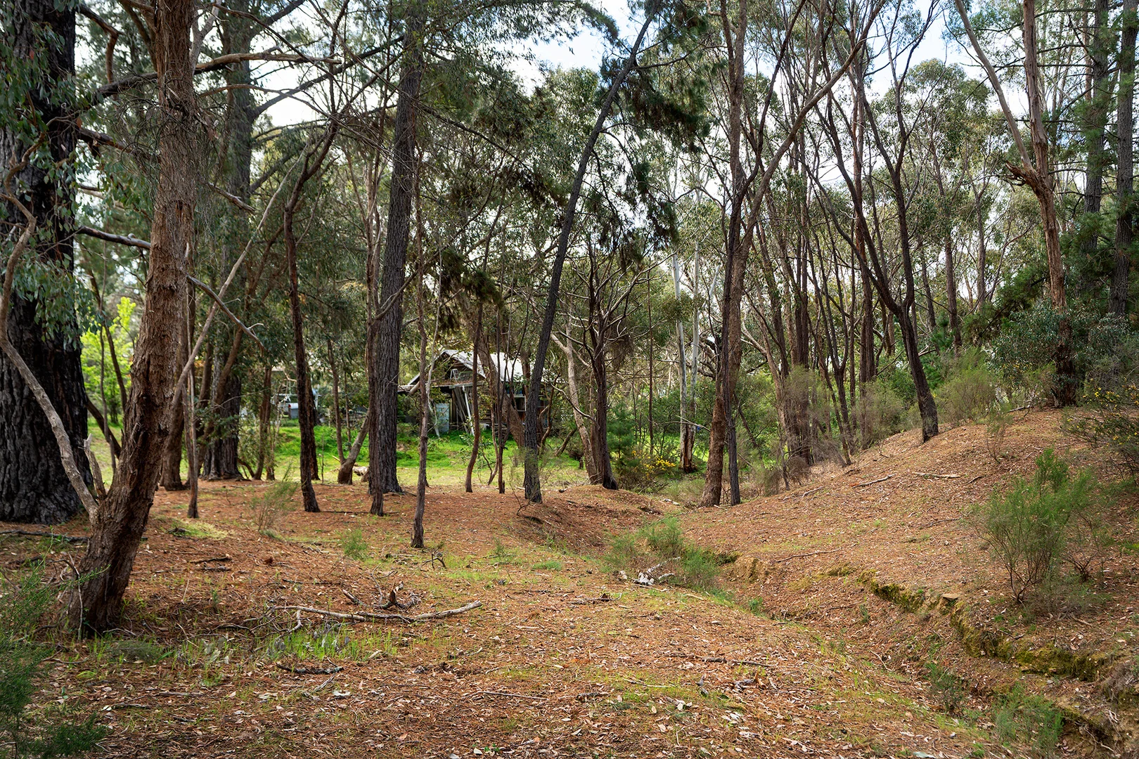 Additional image 20 of 50 Eureka Street, Chewton VIC 3451