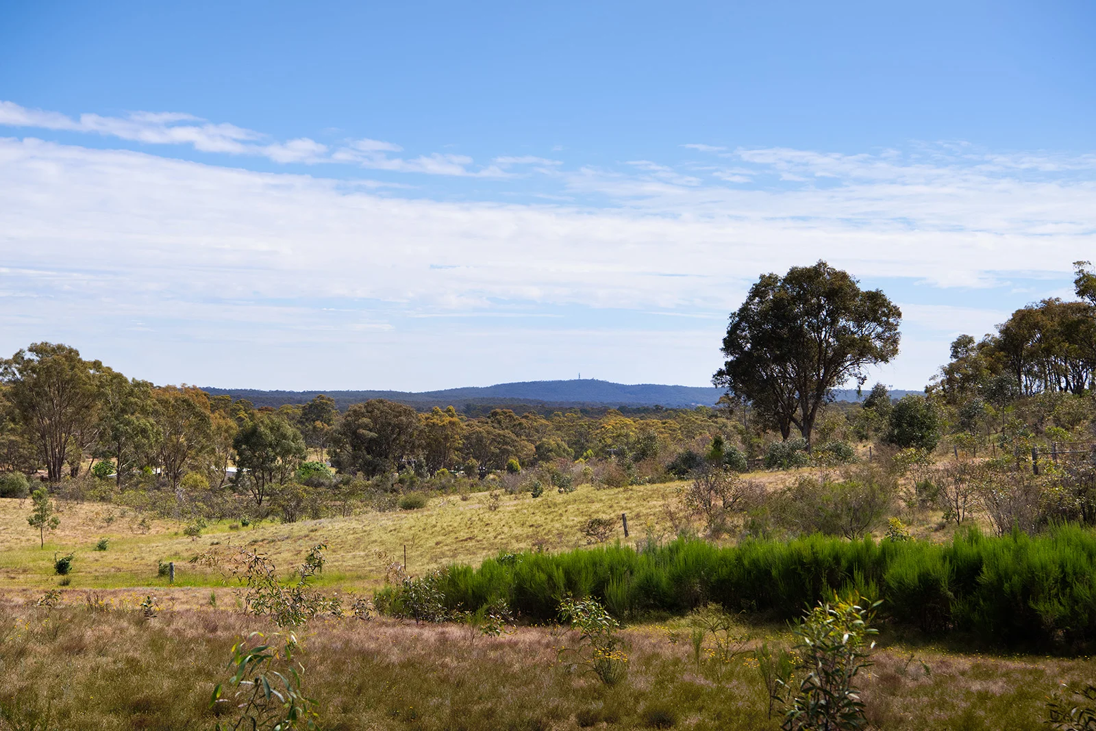 Additional image 15 of 3 Mandurang South Road, Mandurang South VIC 3551