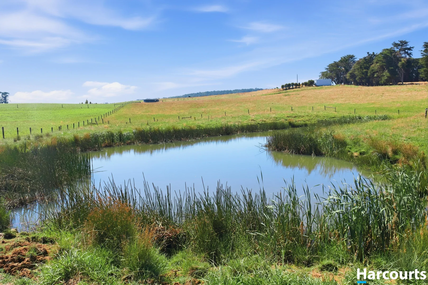 Additional image 12 of 8 Stubbers Lane, Mirboo North VIC 3871