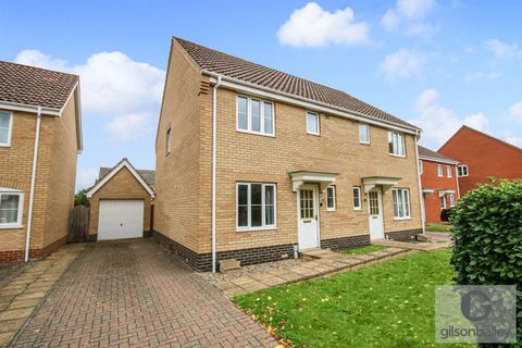 Alicante Way, Norwich NR5