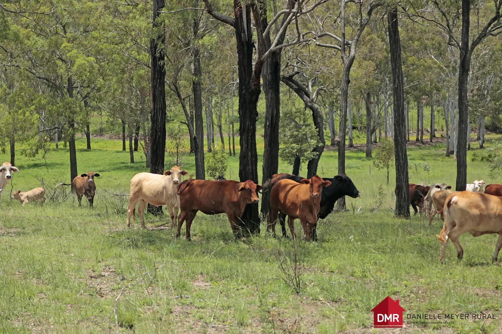 Additional image 21 of 271 McLaughlans Road, Monto QLD 4630