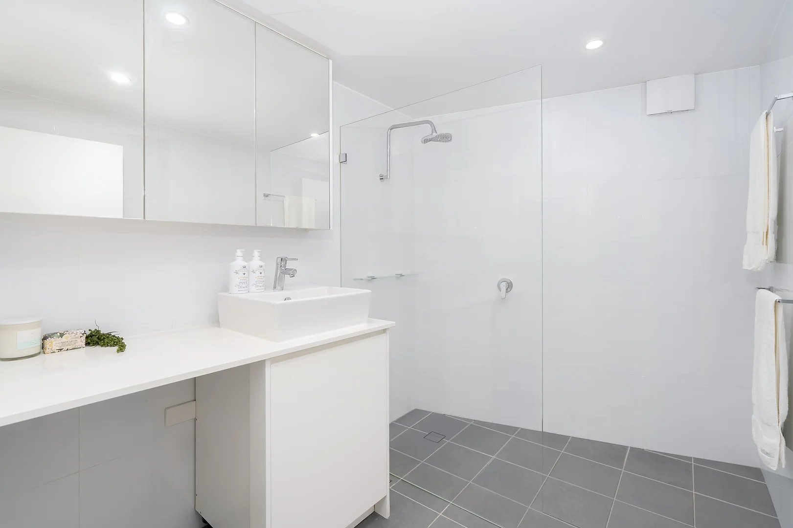 Additional image 6 of 6/12 Elizabeth Parade, Lane Cove NSW 2066
