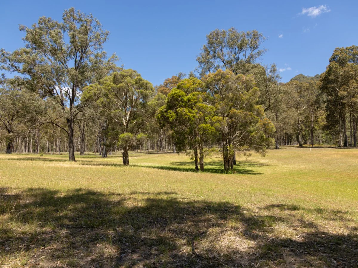 Additional image 4 of 98A Wollemi Peak Road, Bulga NSW 2330