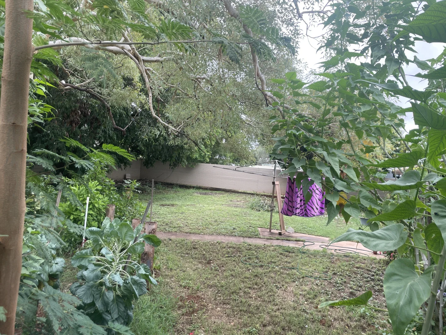 Additional image 12 of 3 Boag Court, Tennant Creek NT 0860