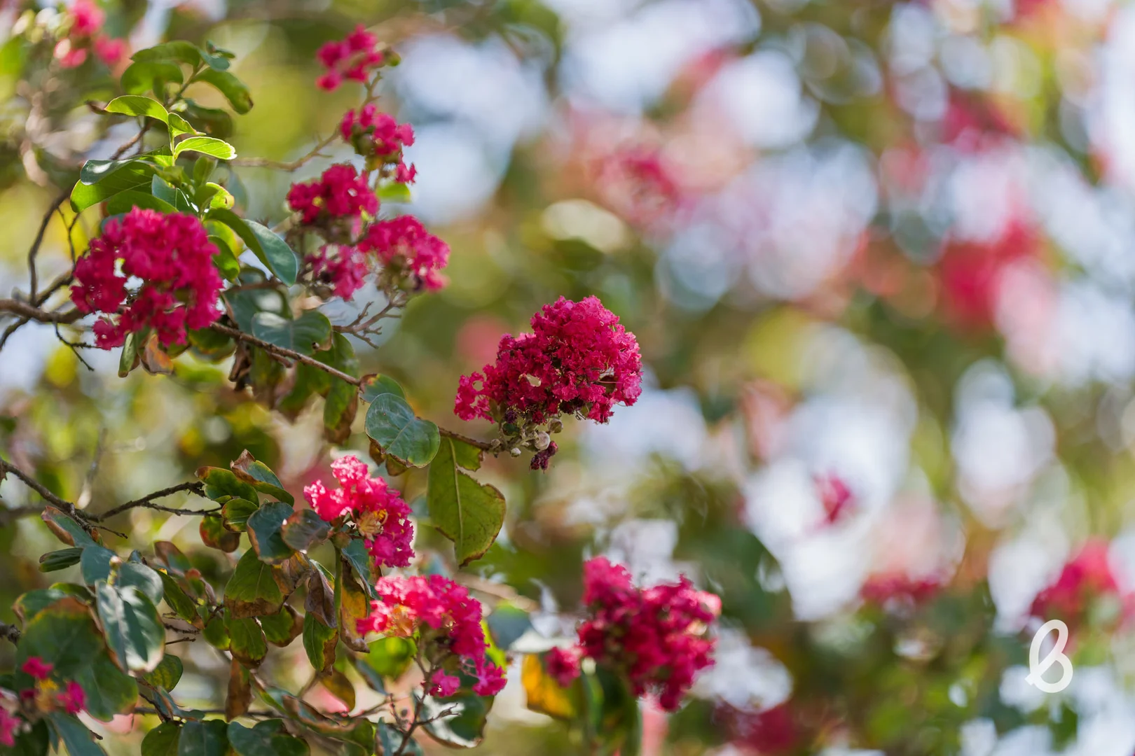 Additional image 71 of 15 Ada Street, Singleton NSW 2330