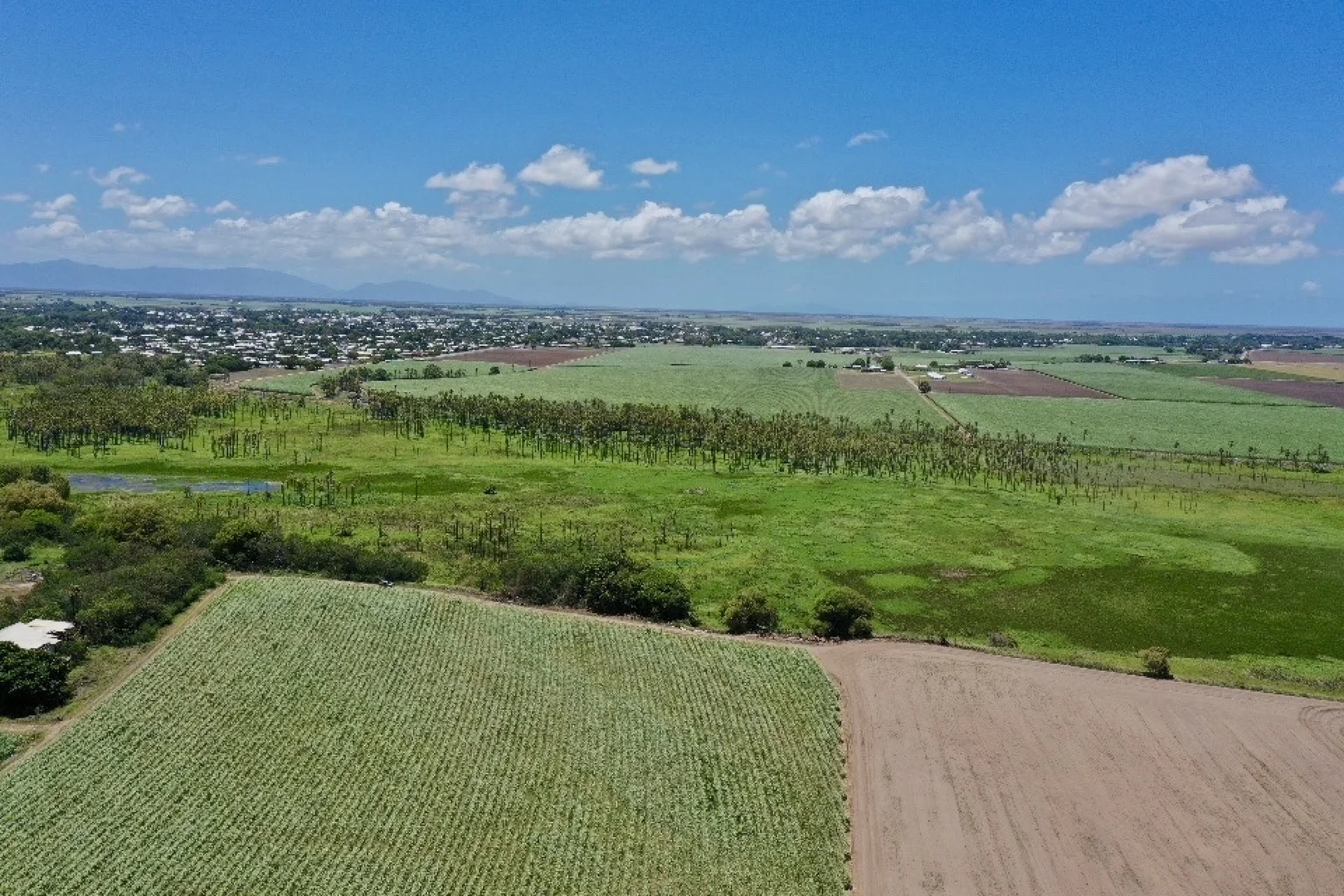 Additional image 5 of 121 Hobson Road, Jarvisfield QLD 4807