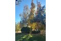 Additional image 65 of 48208 Tanglewood Ct, Aguanga, CA, 92536