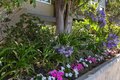 Additional image 45 of 17200 Burbank Blvd, Encino, CA, 91316