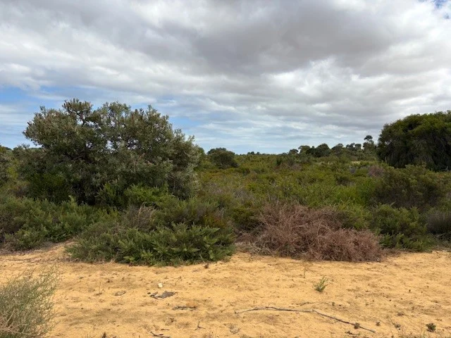 137 Paperbark Avenue, Gabbadah WA 6041