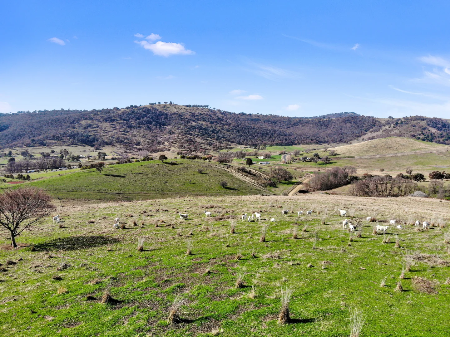 Additional image 2 of Lot 514 Back Sandy Gully Road, Adelong NSW 2729