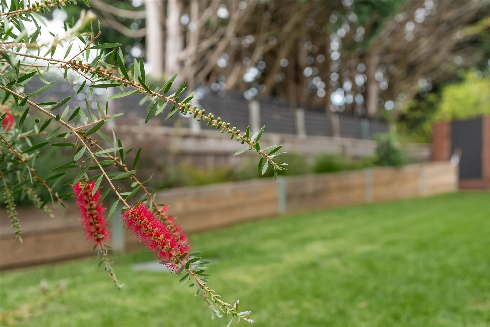 Additional image 16 of 10 Pyrus Place, Bowral NSW 2576