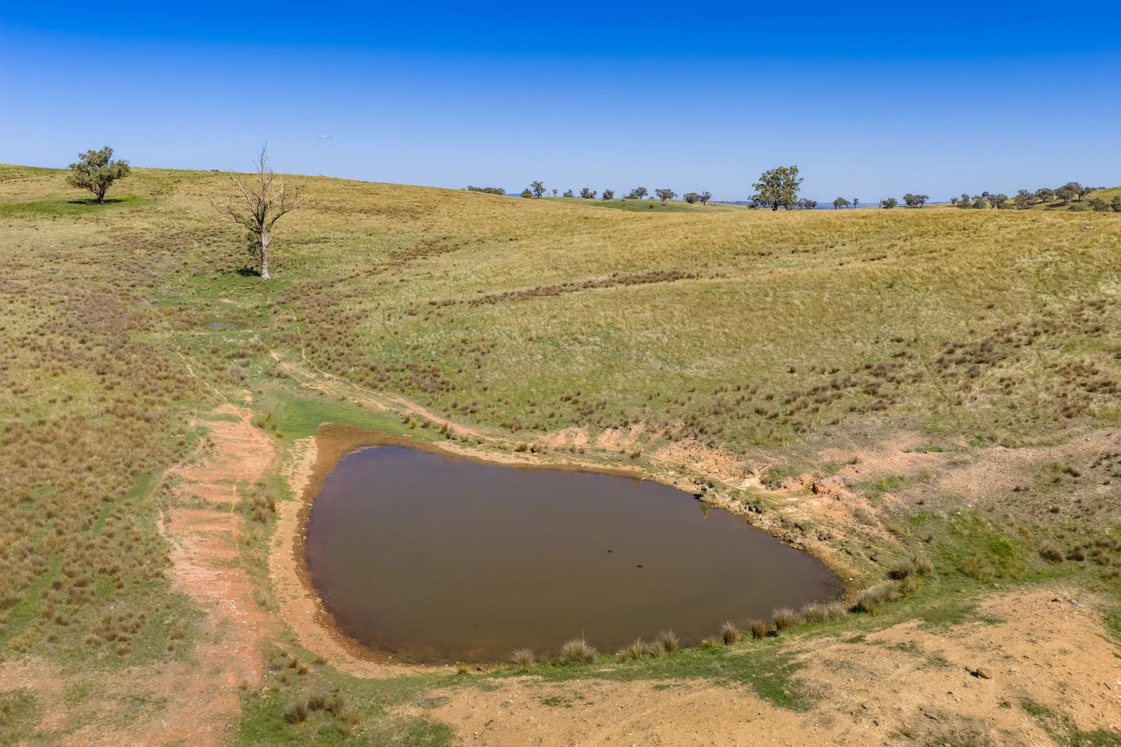 Additional image 16 of 306 Moola Road, Canowindra NSW 2804