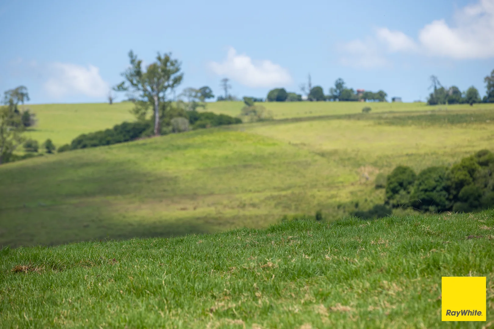 Additional image 23 of 262 Snows Road, Dorrigo NSW 2453