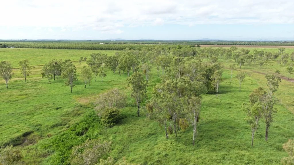 Additional image 4 of 3 Comiskey Road, Giru QLD 4809