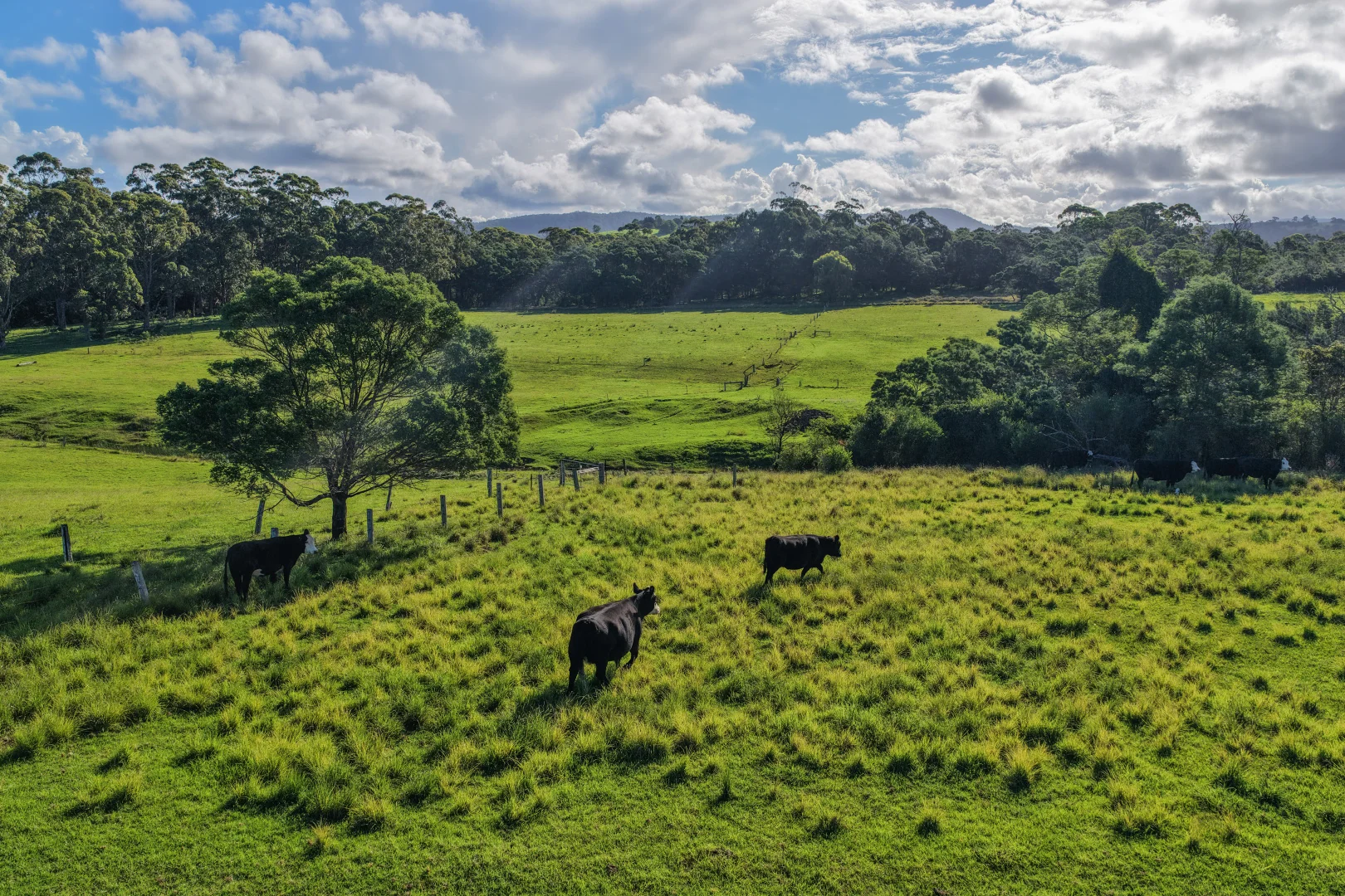 Additional image 26 of 24 Evans Lane, Woodstock NSW 2538