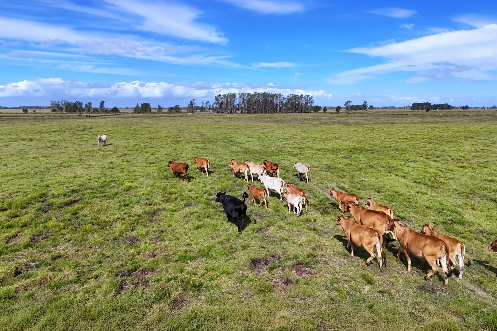 Additional image 11 of Two Hills Lane, Clybucca NSW 2440