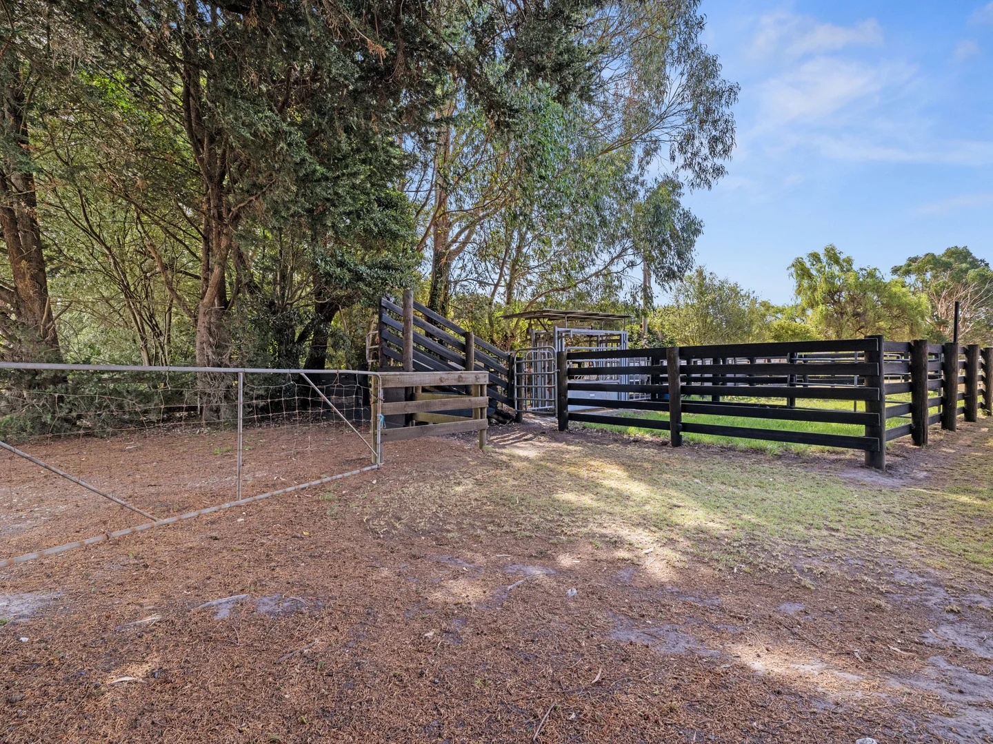 Additional image 21 of 85 Elphicks Rd, Foster VIC 3960