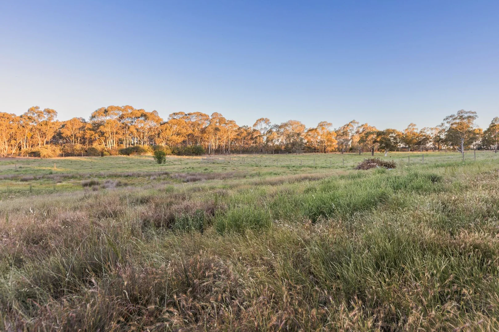 Additional image 17 of 16 Collins Lane, Emu Creek VIC 3551