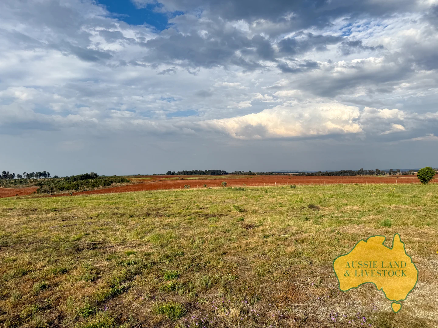 Additional image 43 of 716 Reedy Creek Road, Benair QLD 4610