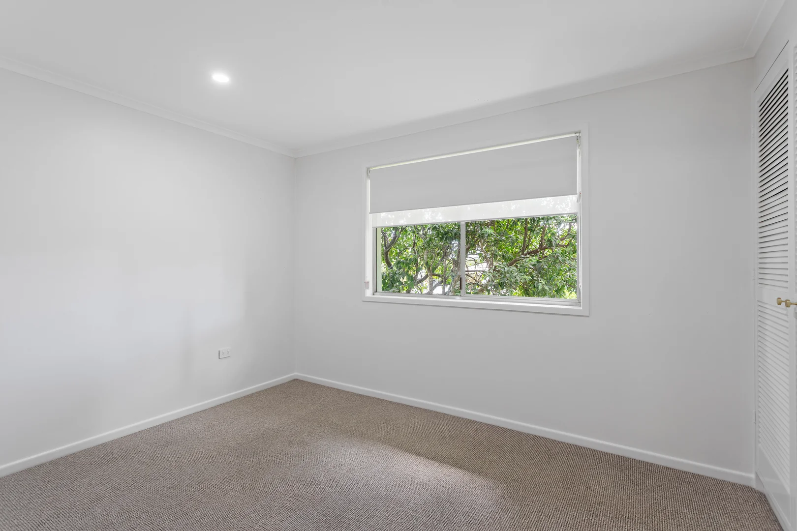 Additional image 12 of 33 McLeod Street, Rangeville QLD 4350