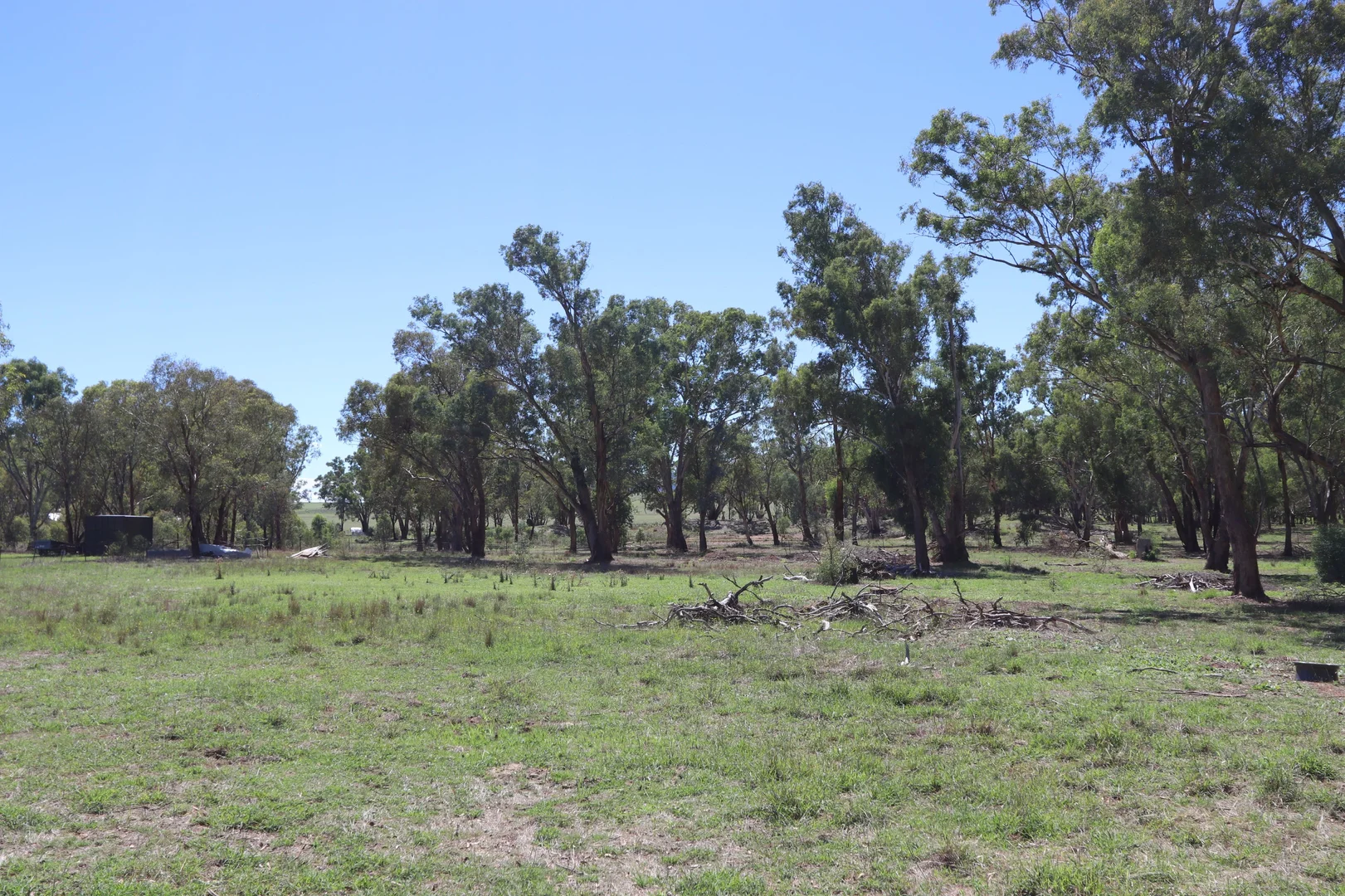 52 BENDICK MURRELL ROAD, Bendick Murrell via, Young NSW 2594 photo 5