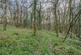 Additional image 34 of Bere Peninsula, West Devon