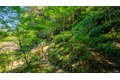 Additional image 64 of 5 Viox Way, San Rafael, CA, 94901