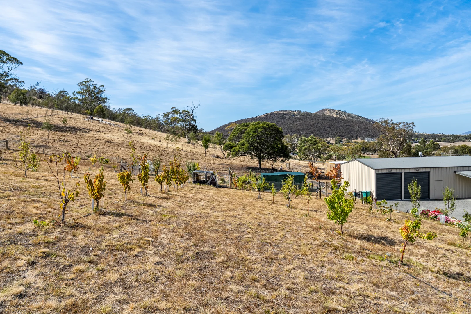 Additional image 32 of 180 Middle Tea Tree Road, Richmond TAS 7025