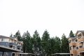 Additional image 29 of 12004 179th Street Ct E, Puyallup, WA, 98374