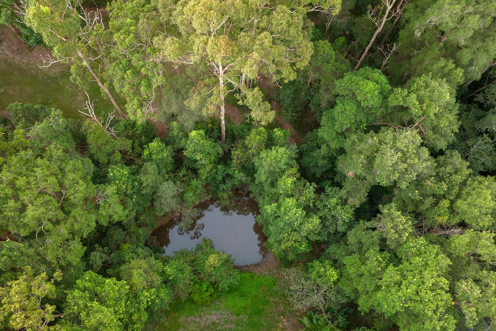 Additional image 30 of 79 Highfield Rise, Pomona QLD 4568
