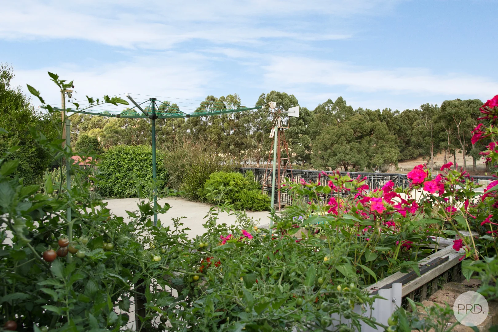 Additional image 18 of 59 Henlin Park Road, Smythesdale VIC 3351