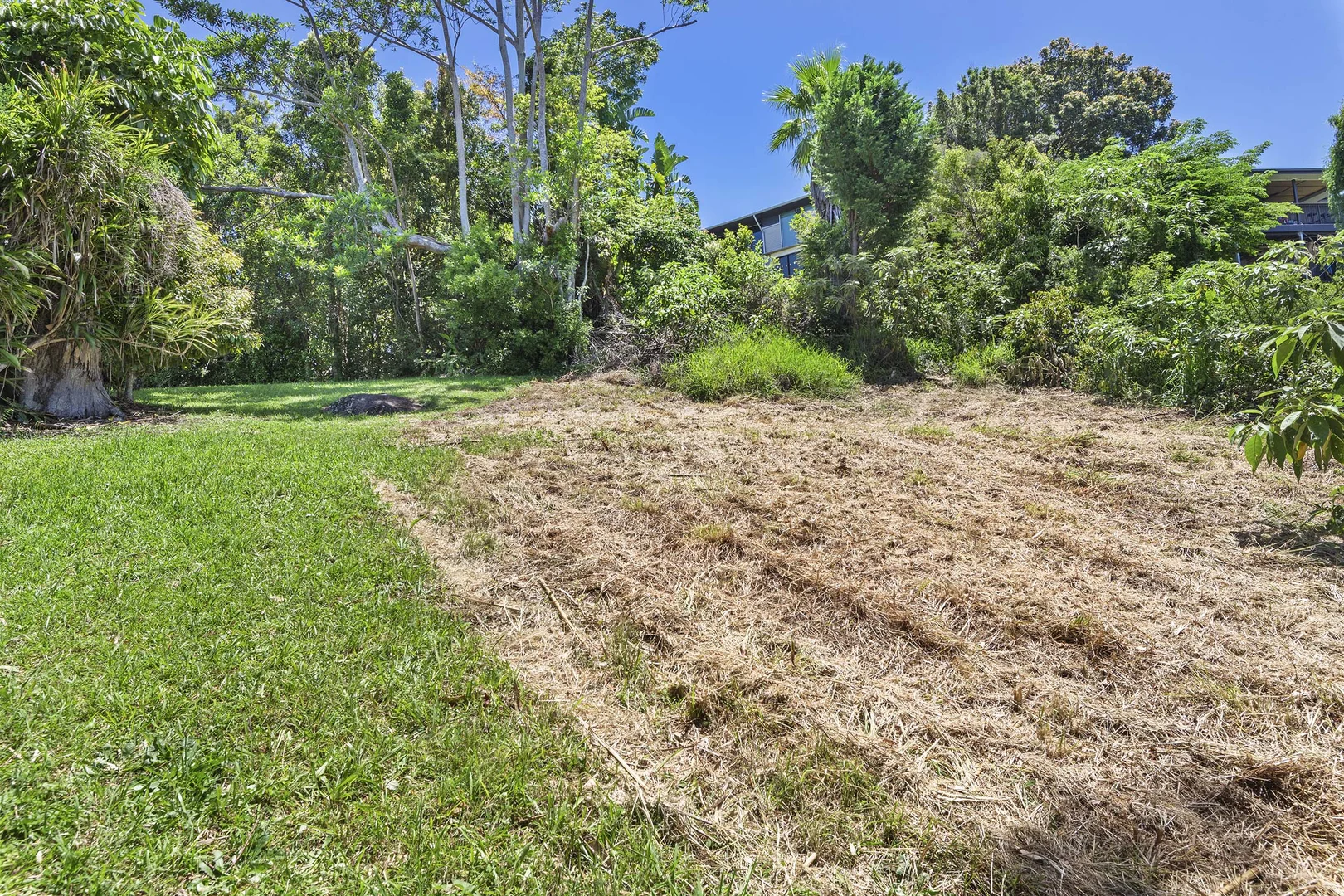 Additional image 4 of Tamborine Mountain QLD 4272
