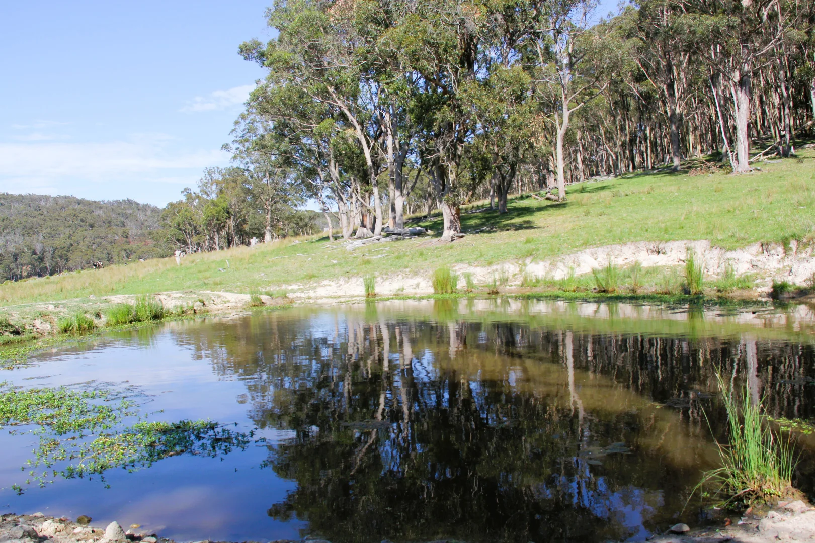 Additional image 11 of 1929 New England Highway, Dundee NSW 2370